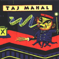Dust My Broom - Taj Mahal