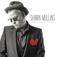 Ferguson - Shawn Mullins