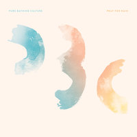 Darling, Save Us - Pure Bathing Culture