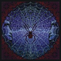 Round the Wheel - The String Cheese Incident