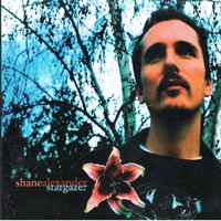 Stargazer - Shane Alexander