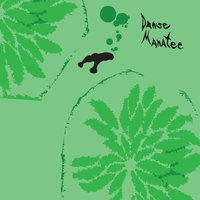Throwin' The Round Ball - Animal Collective
