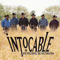 Cada Vez Que Estás Conmigo - Intocable