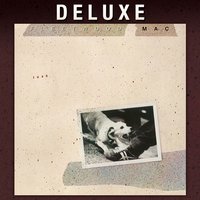 Never Forget - Fleetwood Mac