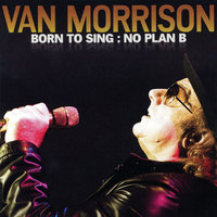 Educating Archie - Van Morrison
