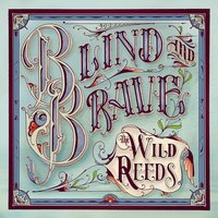Recognize - The Wild Reeds