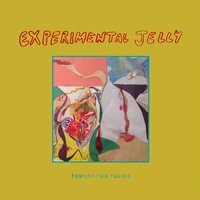 Mr. Sun - Tomorrows Tulips