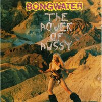 What is? - Bongwater