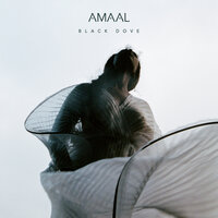 Let Go - AMAAL