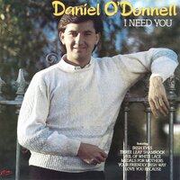 Your Friendly Irish Way - Daniel O'Donnell