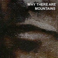 Share - Cymbals Eat Guitars