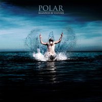 Mountain Throne - Polar.