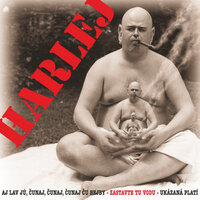Pověste ho vejš - Harlej