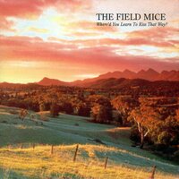 Willow - The Field Mice