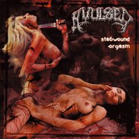 Compulsive Hater - Avulsed