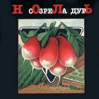 День большой осы - Ноль