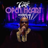 Who's Gonna Save My Soul - CeeLo Green