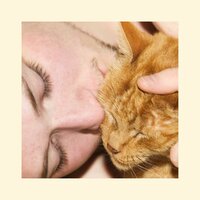 Tire Swing - Who Boy
