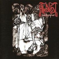 Кровавые Травы - Alkonost