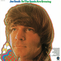 Rolling On - Joe South