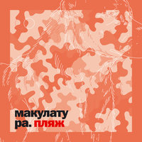 лимб - макулатура