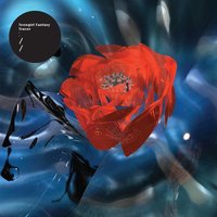 EFX - Teengirl Fantasy, Kelela