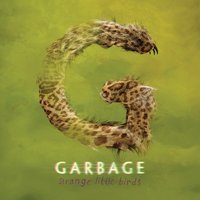 Teaching Little Fingers to Play - Garbage