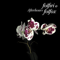 Ti Cambia Il Sapore - Afterhours