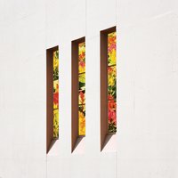 Days Upon Days - Dyan