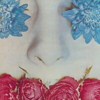 Back in Bloom - Sulk