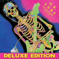 Ice Age - UK Subs
