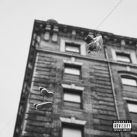 The Flyest Essence - Apollo Brown, Skyzoo