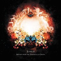 All Shall Float - Junius