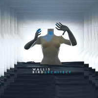 Teardrop - Wallis Bird