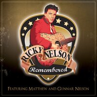 Fools Rush In - Nelson