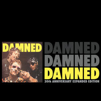 New Rose - The Damned