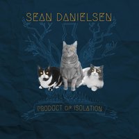 Is It Wrong - Sean Danielsen