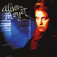 Honey for the Bees - Alison Moyet