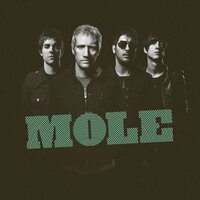 El Bote - Mole