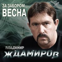 Всюду Бог - Владимир Ждамиров