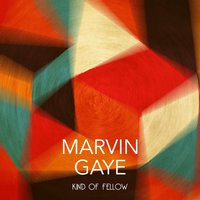 Almost Grown - Marvin Gaye