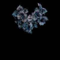 Divisi - A Lot Like Birds