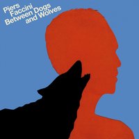 Feather Light - Piers Faccini