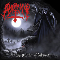 Suncrusher - Anatomy