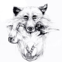 Bitter Rivals - Lowell