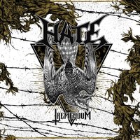 Indestructible Pillar - Hate