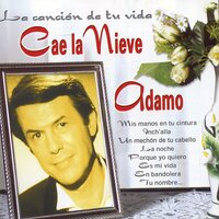 Un Mechon de Tu Cabello - Salvatore Adamo