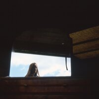 Time - The Weather Station