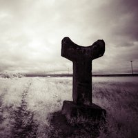 В поисках тепла и света - Нихау