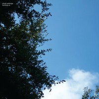 Hey Cool Kid - Cloud Nothings